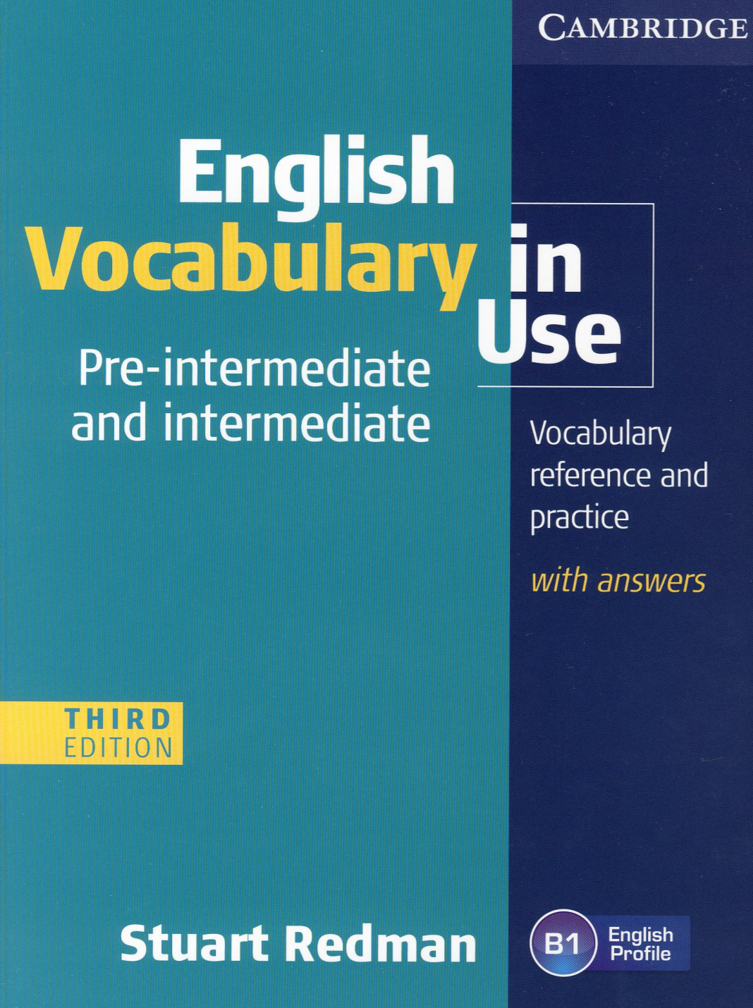 Test english vocabulary in use. Cambridge English Vocabulary in use. Book English Vocabulary in use pre Intermediate. English Vocabulary in use pre-Intermediate. English Vocabulary in use for pre-Intermediate and Intermediate..